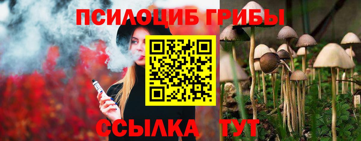 Галлюциногенные грибы MAGIC MUSHROOMS  Вход с VPN  Йошкар-Ола 